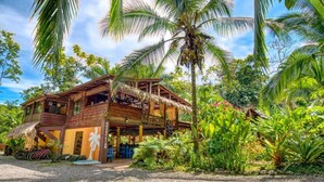 A wooden house with a thatched roof, surrounded by lush tropical vegetation and palm trees. - Caribe Town Bungalows (Cahuita)
