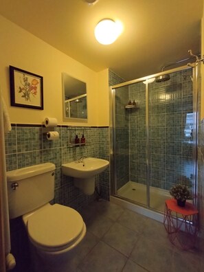 Kahden hengen standard-huone (kaksi sänkyä), kylpyhuone makuuhuoneen yhteydessä, kaupunkinäköala | Kylpyhuone