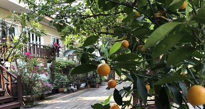 Romyen cafe homestay