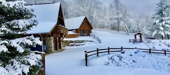 Private Cabin with Lake Views Near Torch Lake, Fire Pit & Boat Parking