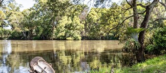 Riverfront Oasis in Elanora