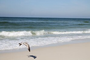 On the beach
