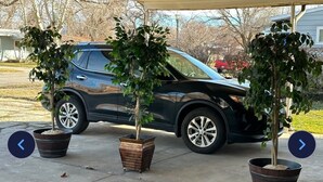 Ein Parkplatz mit drei Kübelbepflanzungen und einem schwarzen SUV.