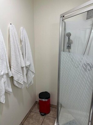 Dusche, Haartrockner, Handtücher, Seife