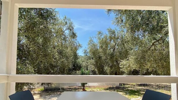 Eine Terrasse mit Tisch und Stühlen mit Blick auf einen Garten mit Olivenbäumen.