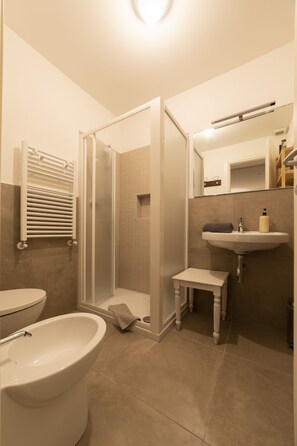 Regadera, secadora de cabello, bidet, toallas 
