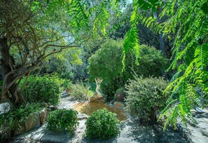 Terrein van de accommodatie