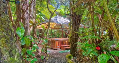 The Pacifica Inn The Gecko and Volcano Room