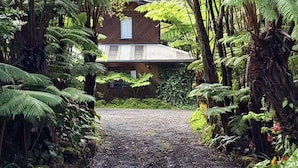 A pathway leading to a house surrounded by lush greenery and ferns. - The Pacifica Inn/ The Gecko and Volcano Room (Volcano)