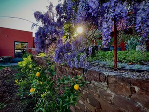 A garden with purple flowers and a stone wall. - Les Terres Rouges du Salagou 5min du lac ! Natura 2000 , Atelier D'artiste (Le Bosc)
