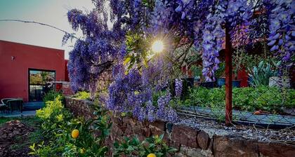 Les Terres Rouges du Salagou 5min du lac ! Natura 2000 , Atelier d'Artiste
