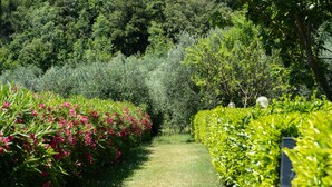 A garden pathway flanked by lush greenery and flowering plants. - Appartamenti Santa Croce (Ferentillo)
