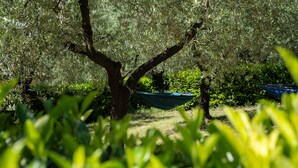 A hammock tied between two trees in a lush garden. - Appartamenti Santa Croce (Ferentillo)