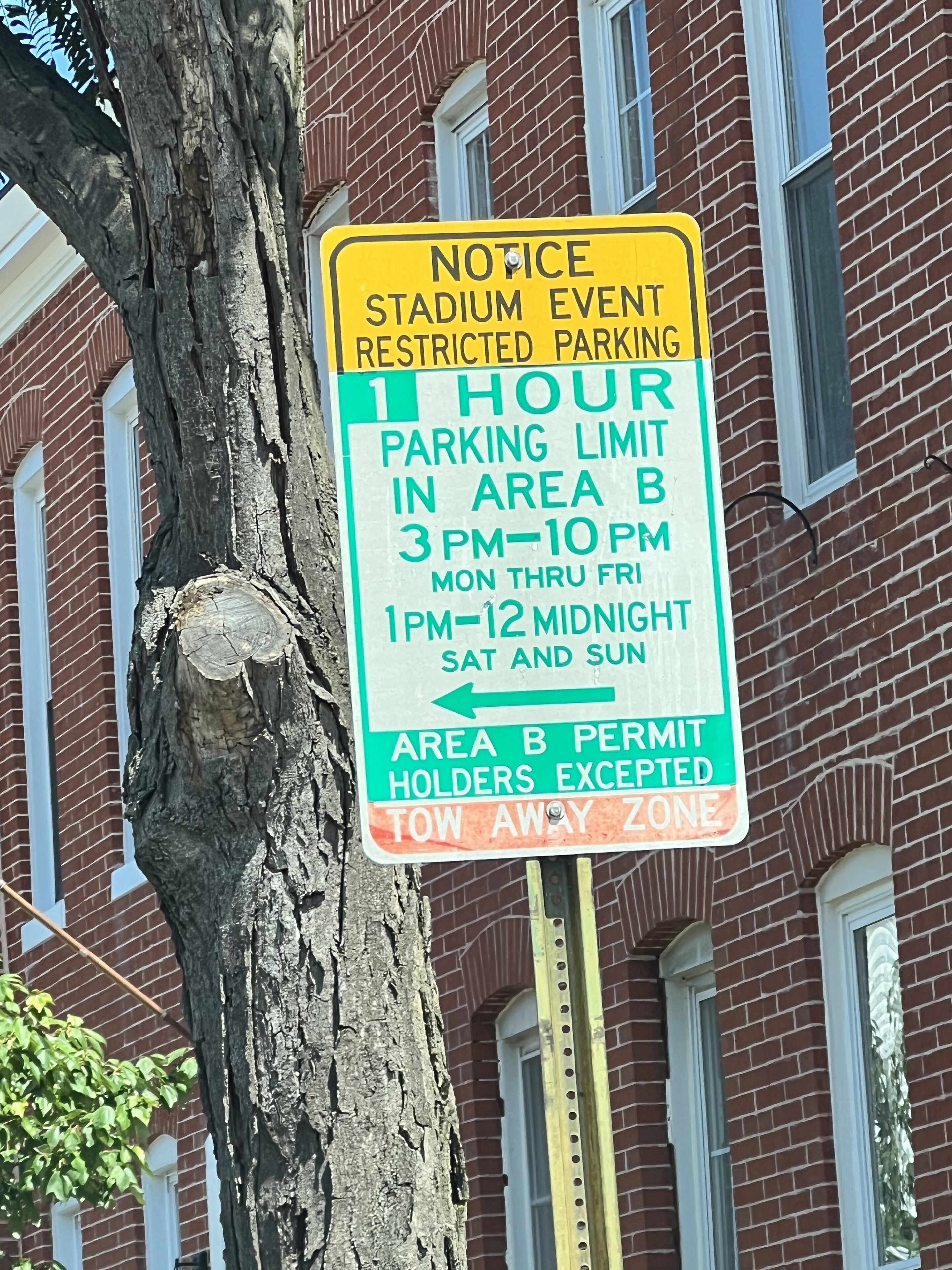 Baltimore Birds
