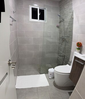 Regadera, secadora de cabello, toallas, jabón 