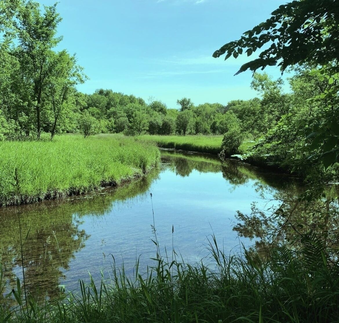 A calm river with lush greenery and trees on both sides.