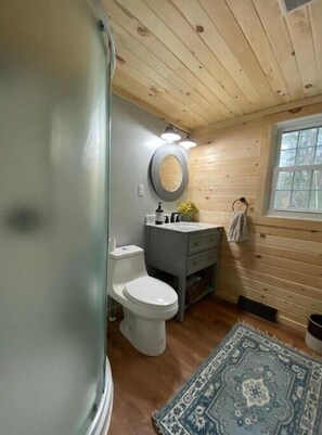Shower, soap, shampoo, toilet paper - 5 Bdrm in High Peaks region of the Adirondacks (Newcomb)