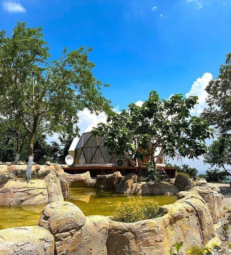 Phalesia Glamping Sapanca