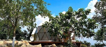 Phalesia Glamping Sapanca