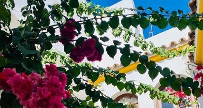 Townhouse in the vibrant old town