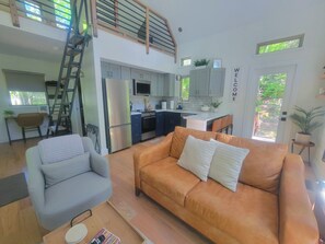 Smart TV, fireplace, DVD player, books