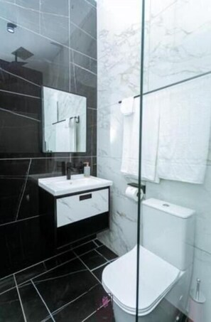 Hair dryer, soap, toilet paper