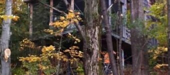 Deluxe Tree House 1 Hour from Toronto