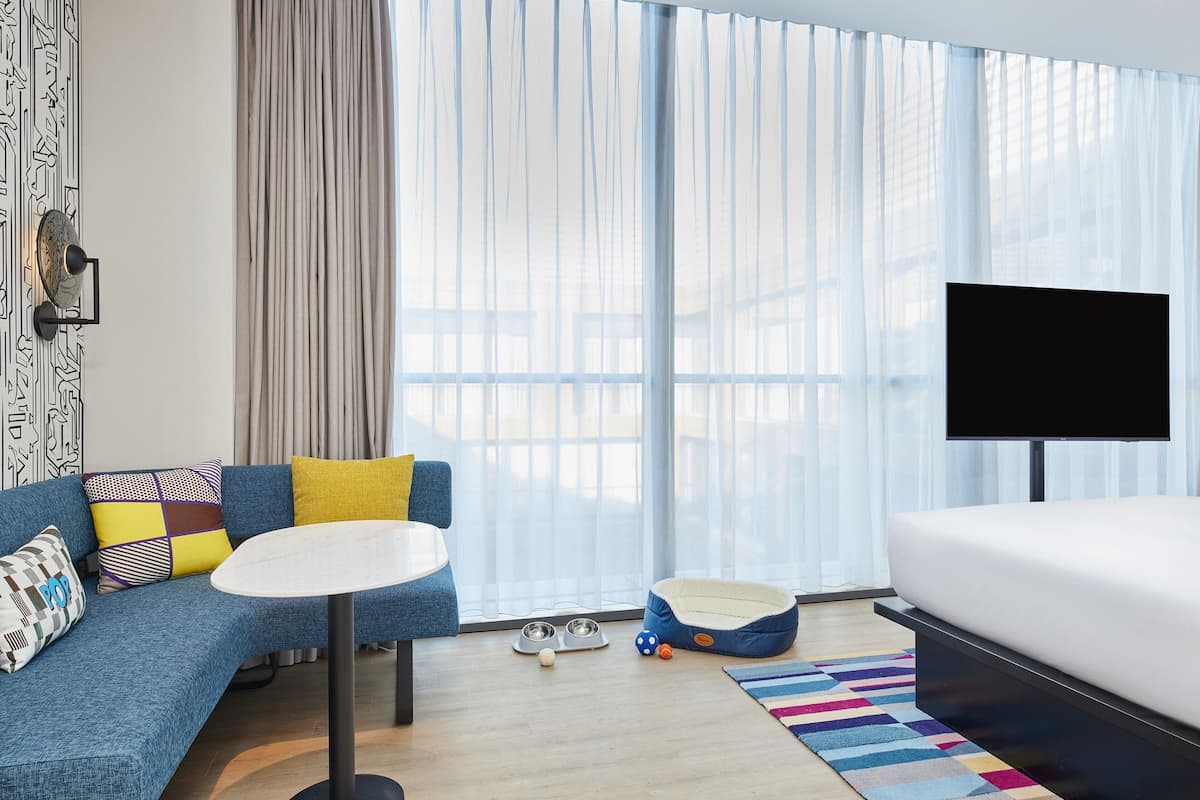 A hotel room with a sofa, a small round table, a pet bed, a TV, and a window with sheer curtains.