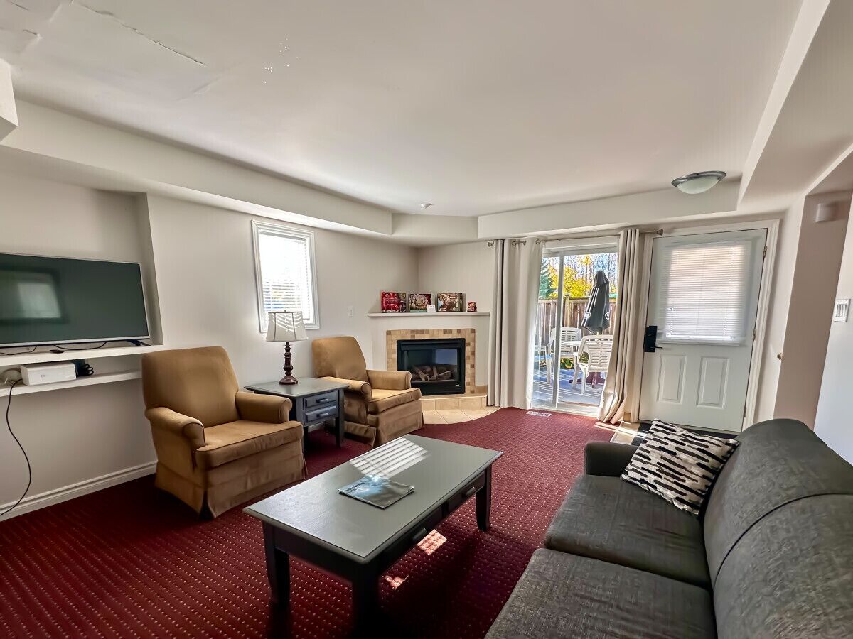 Smart TV, fireplace, books