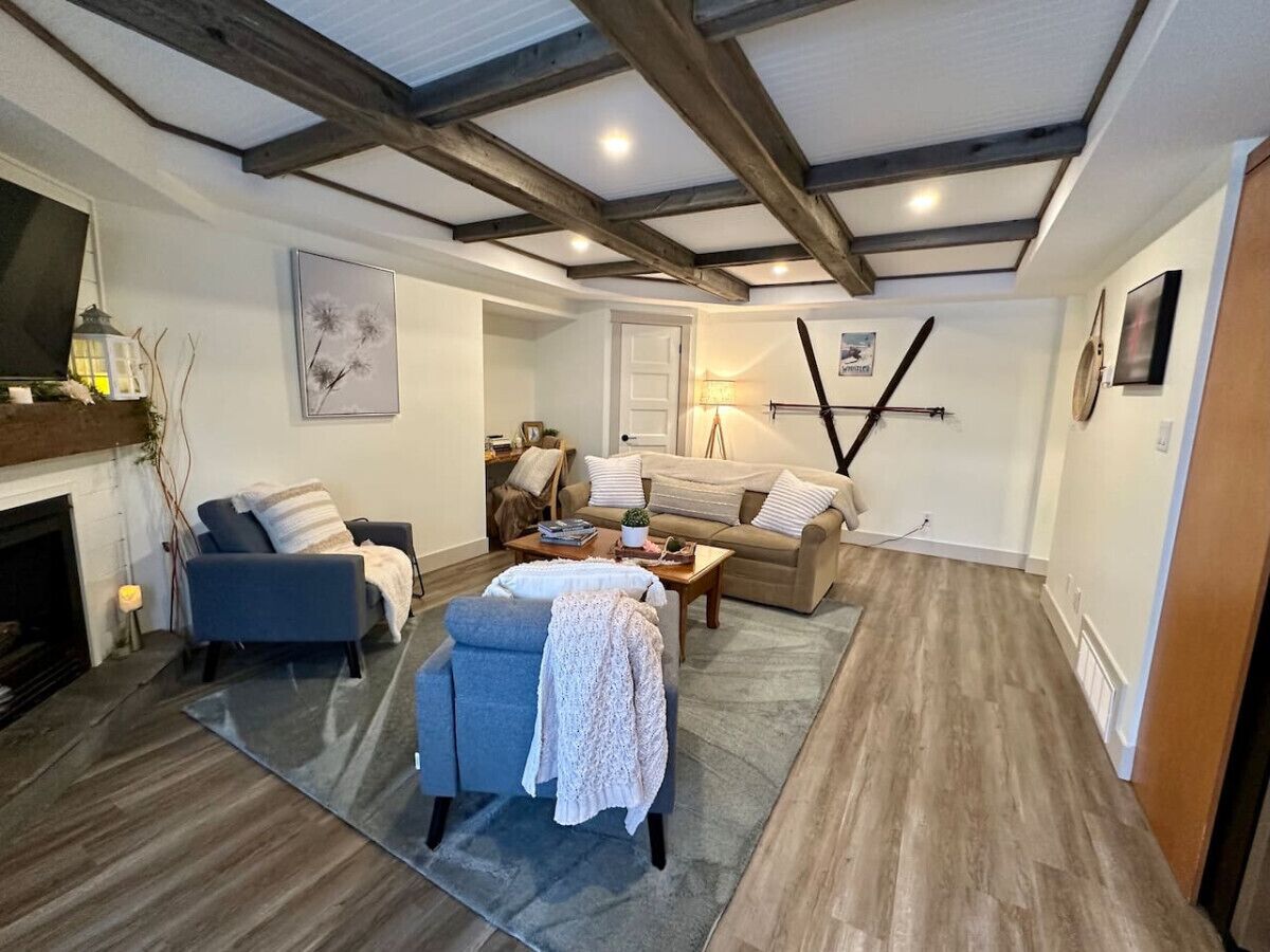 Smart TV, fireplace, books