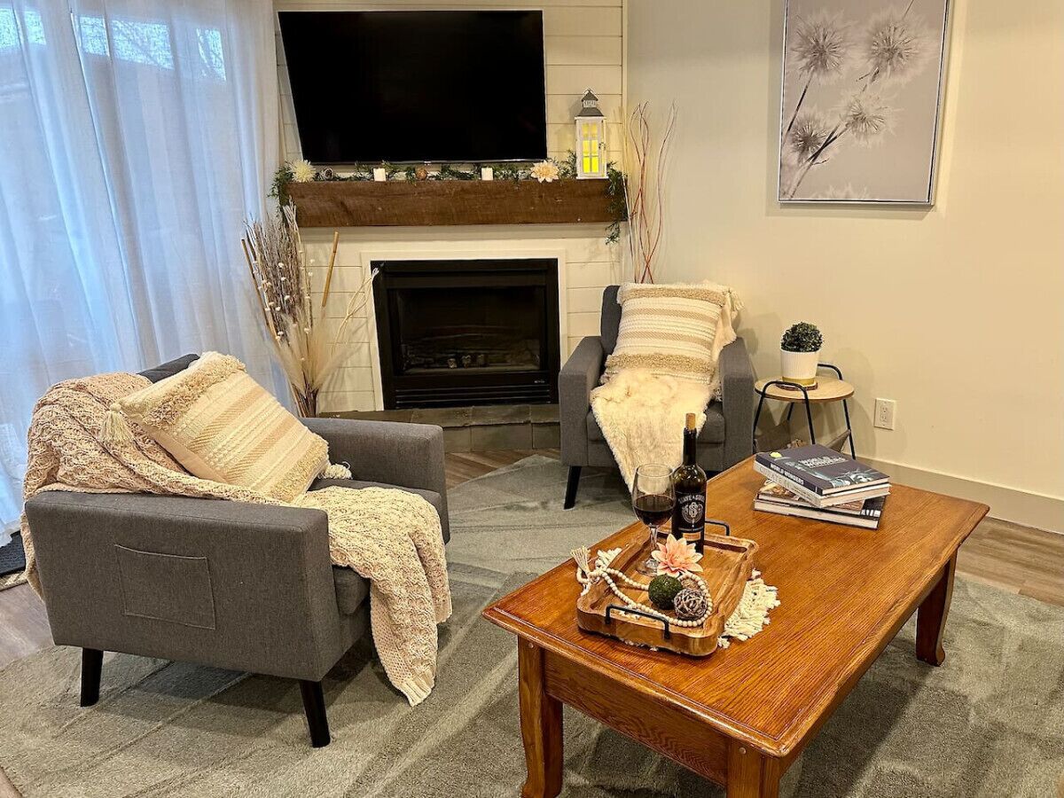 Smart TV, fireplace, books