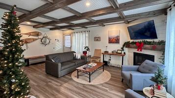 Smart TV, fireplace, books