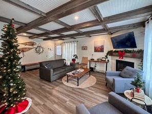 Smart TV, fireplace, books