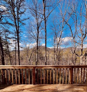 Property grounds - Chalet Cabin, Mountain Views, Spa tub near Helen with hiking trail to creek (Sautee Nacoochee)