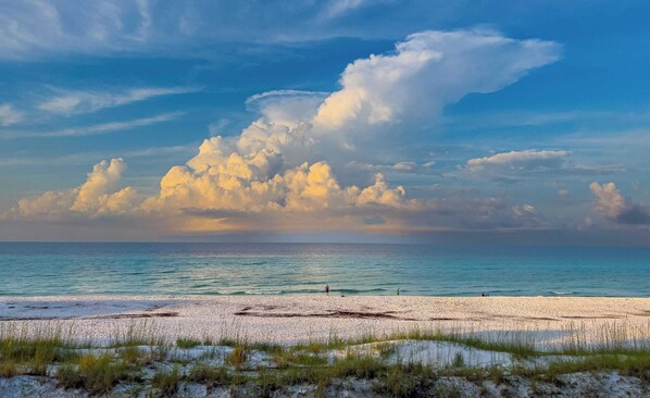 Interior - Amalfi Breeze by Avantstay Walk to the Beach, Luxe Design (Miramar Beach)