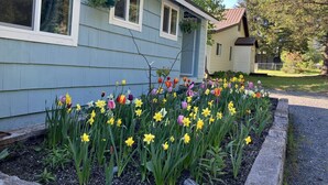 Een huis met een bloembed van narcissen en tulpen ervoor.