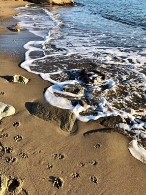 Toallas de playa