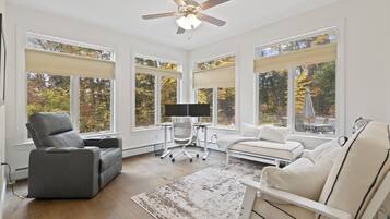 Smart TV, fireplace, computer monitors