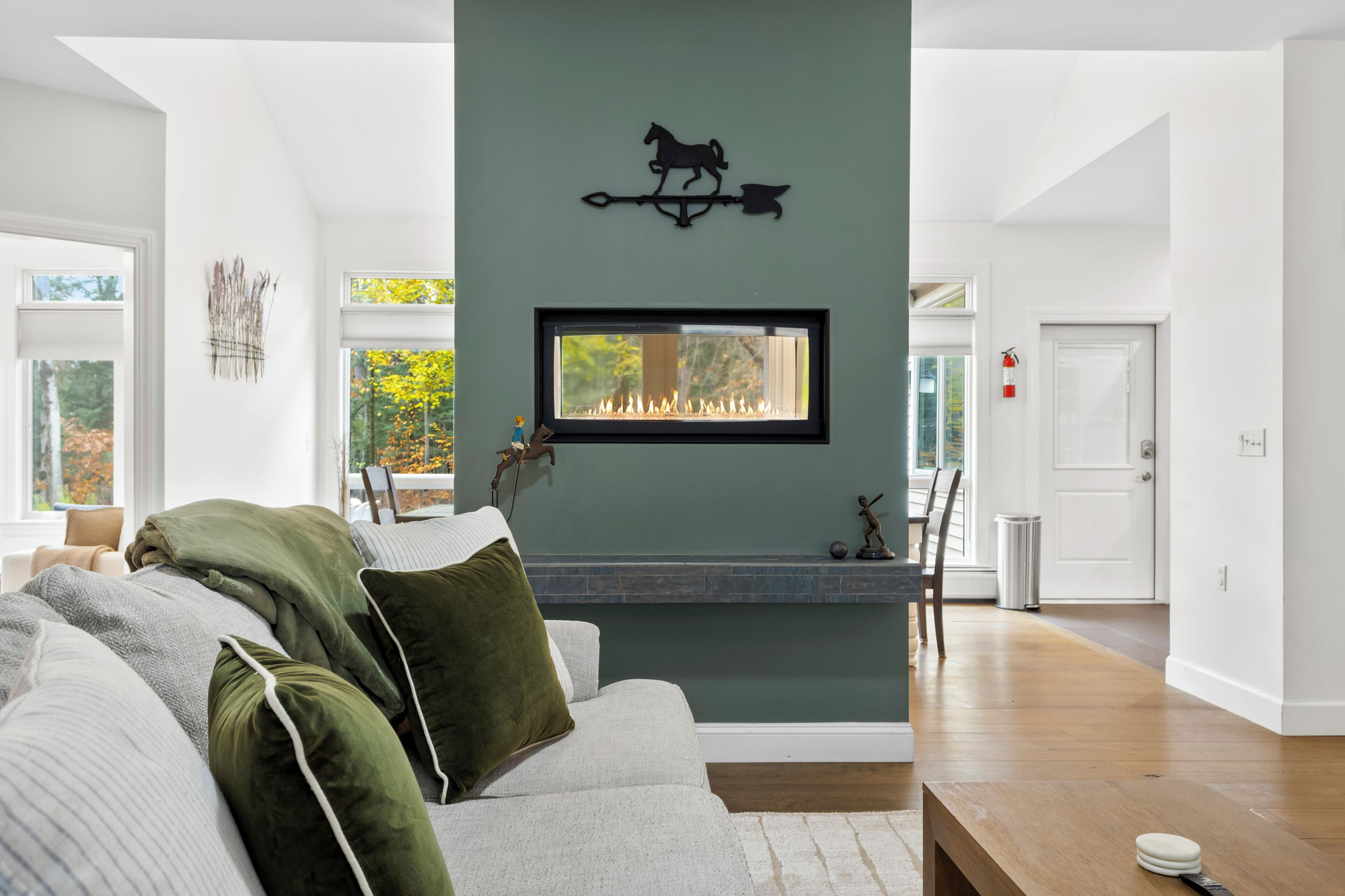 Smart-TV, Kamin, Computerbildschirme