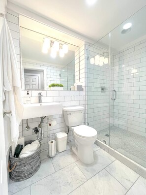 Shower, hair dryer, towels
