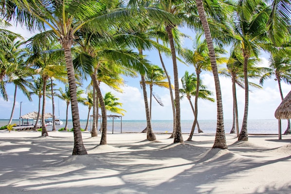 Beach/ocean view - Villas De Isla Bonita - A1 (San Pedro)