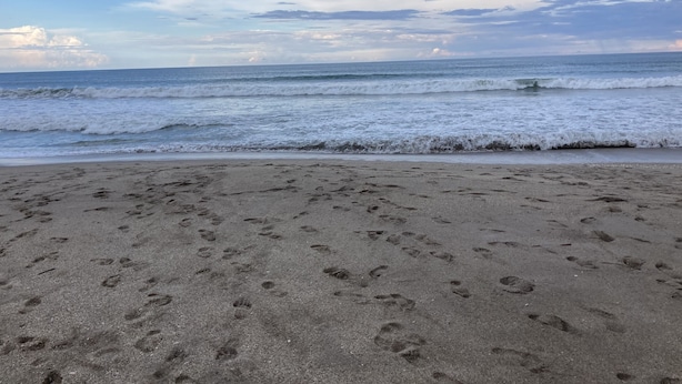 Une plage où l’on voit des empreintes de pas dans le sable et où les vagues se rapprochent du rivage.