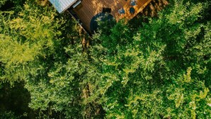 An aerial view of a wooden deck with a large dome structure, surrounded by dense green foliage. - The Tree House Dome at Selah Place (Athens)