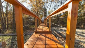 A wooden suspension bridge with metal railings, surrounded by trees and gravel. - The Tree House Dome at Selah Place (Athens)