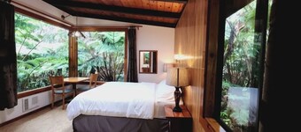 Tropical 1-bedroom cabin. Five minute drive to Hawaii Volcanoes National Park.