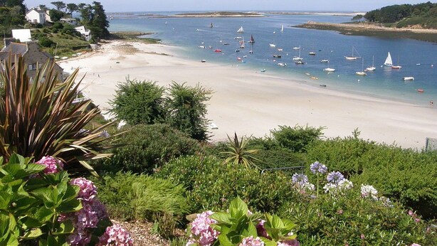 A coastal beach scene with boats, a sandy shore, and lush greenery. - Perle des Abers, Profitez de Cette Charmante Maison de Vacances Avec vue mer (Saint-Pabu)