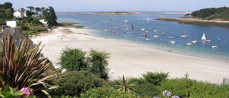 Vlak bij het strand