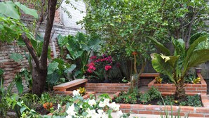 Un jardín con diversas plantas y un banco de ladrillo.
