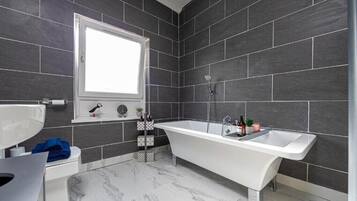 Shower, hair dryer