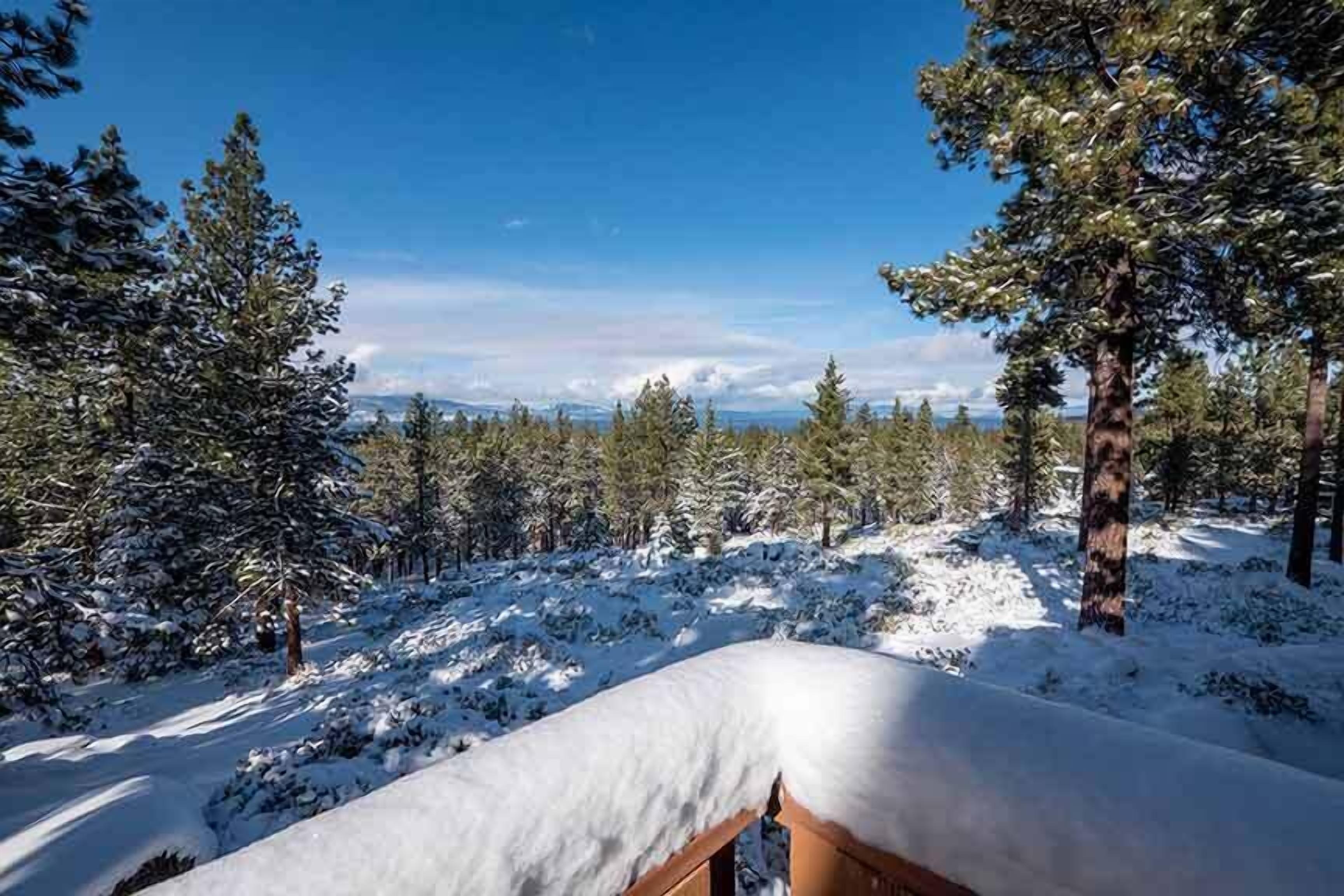 Ein verschneiter Wald mit einer Holterrasse.